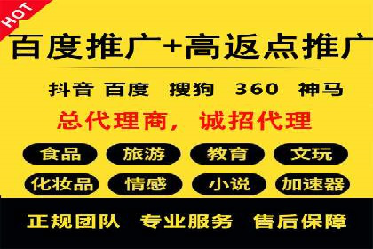 案例分析：竞价推广助力企业快速增长